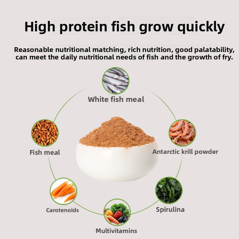 PENISON Polvere Alimentare per - Baby Food Diet recensione e prezzo
