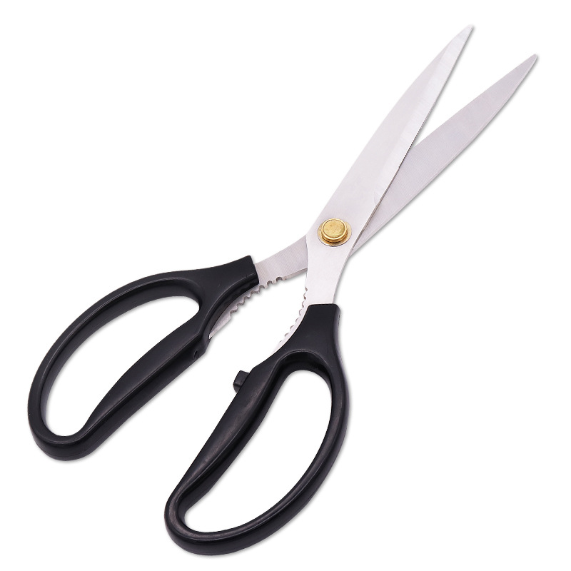 Forbici per barbecue Forbici p - Baby Food Scissors recensione e prezzo