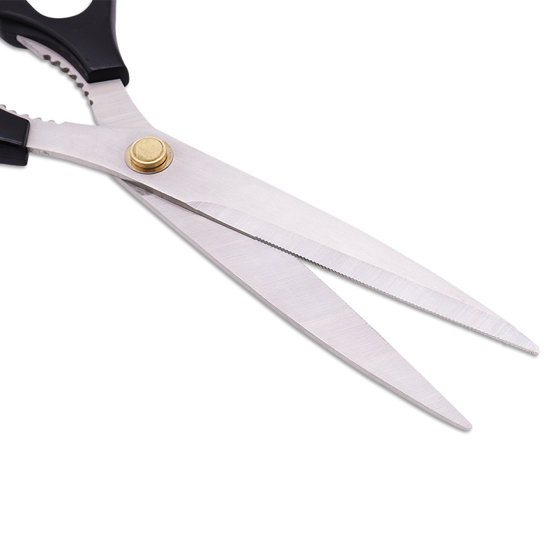 Forbici per barbecue Forbici p - Baby Food Scissors recensione e prezzo