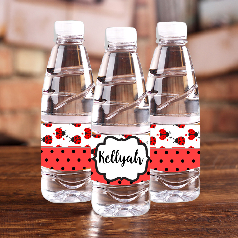 Coccinella personalizzata Bott - Baby Food Label recensione e prezzo